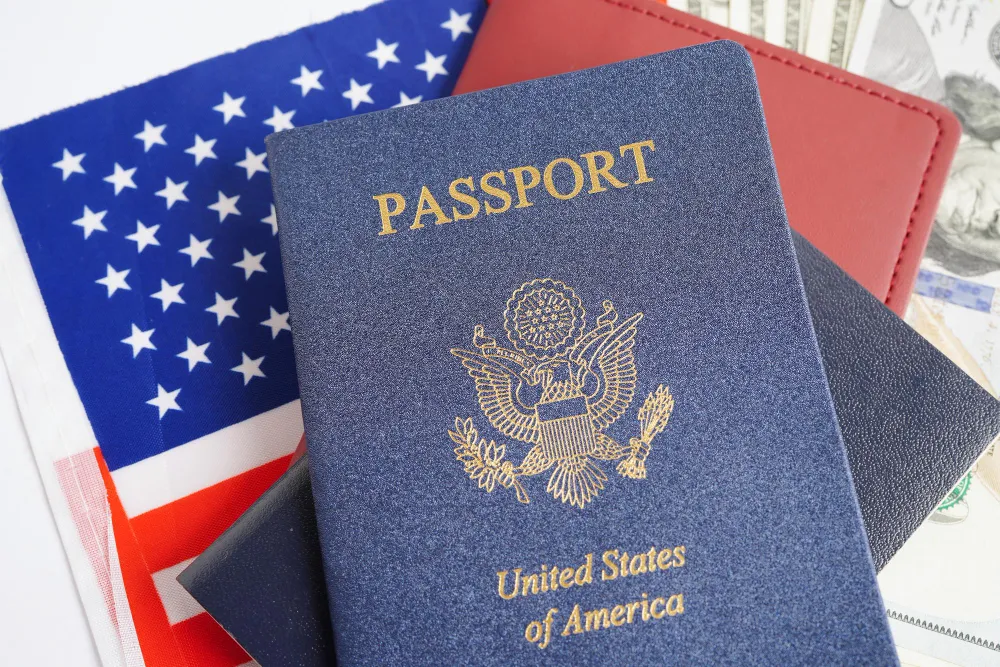 90 Day Fiance: What is the K1 Visa?