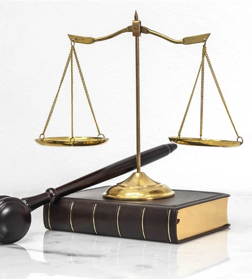 Immigration Attorney